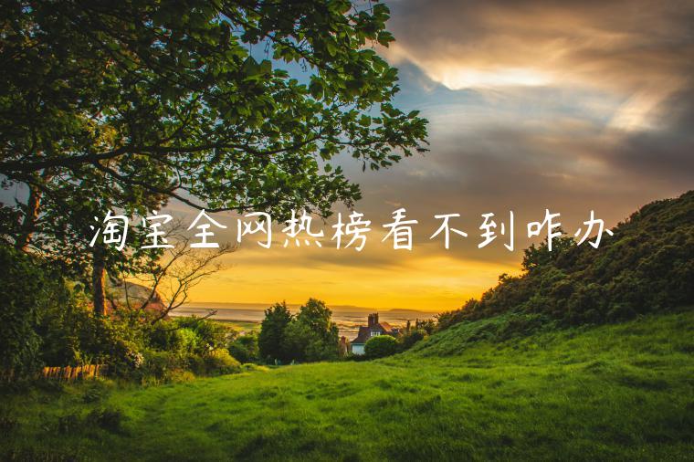 淘寶全網(wǎng)熱榜看不到咋辦